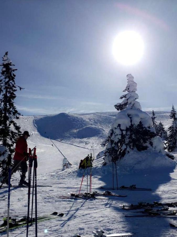 In The Middle Of Trysil Fjellet - Welcome Center - Apartment With 4 Bedrooms And Sauna - By Bike Arena And Ski Lift Buitenkant foto